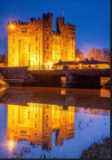 Villa Bunratty Castle Gardens Exterior foto